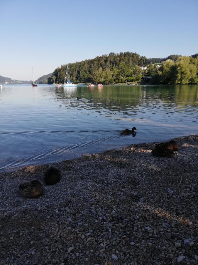 Ferienwohnung Feichtingerbauer Fuschl am See Exterior foto